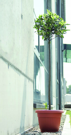 Prosperplast Terra Blumentopf Kunststoff Anthracite Prosperplast Terra Blumentopf Kunststoff Anthracite