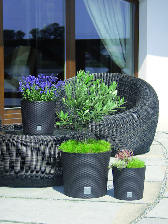 Prosperplast Rato Round DRTUS300L Κασπώ Rattan Λευκό με Βάση 30x30x27εκ.