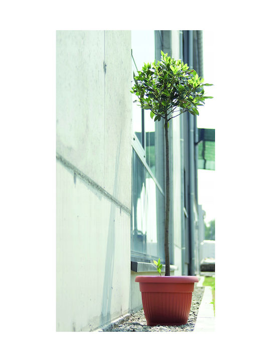 Prosperplast Terra Pot Plastic Terracotta