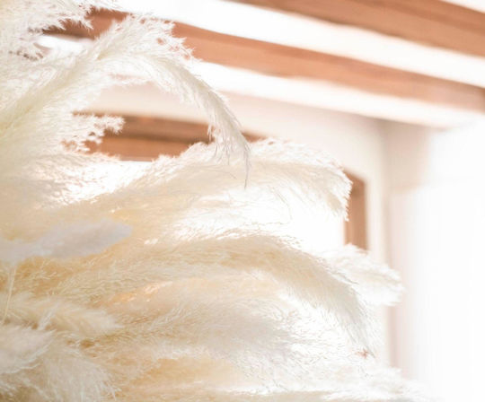 Μπουκέτο από Pampas grass Λευκό 105cm 3τμχ Andrea House