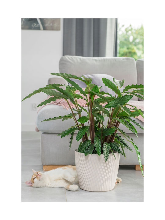 Form Plastic Mika Γλάστρα Πλαστική Forest moss 14.8x14.8x16.8εκ.