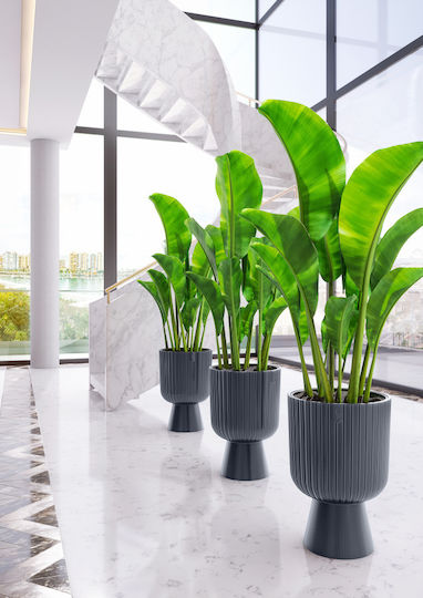 Form Plastic Keli Mika Topf Kunststoff Anthracite 29x29x43cm.
