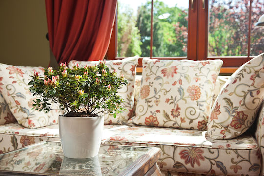 Lamela Magnolia Γλάστρα Πλαστική Λευκή 13.5x13.5x12εκ.