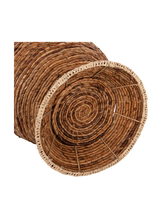 HomeMarkt Διακοσμητικό Βάζο Δαπέδου Ψάθινο Καφέ Φ35xΥ104cm