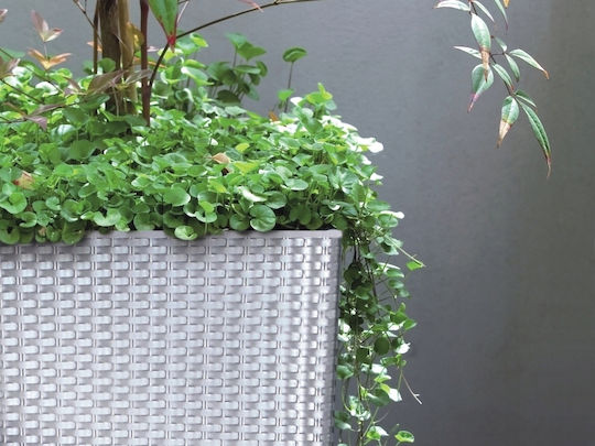 Prosperplast Rato Γλάστρα Πλαστική Anthracite 22.5x22.5x23εκ.