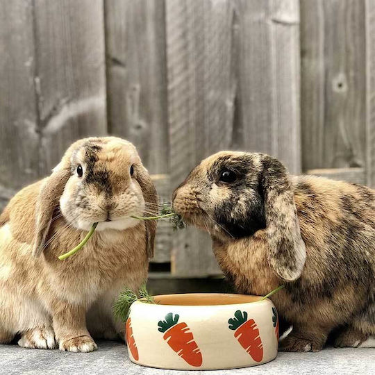 Nobby Food Bowl for Rabbit 500ml Orange