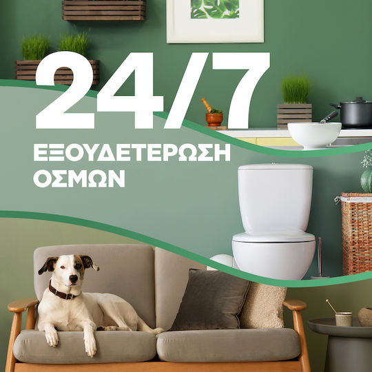 Airwick Ανταλλακτικό για Συσκευή Ψεκασμού με Άρωμα Turqoise Oasis 250ml