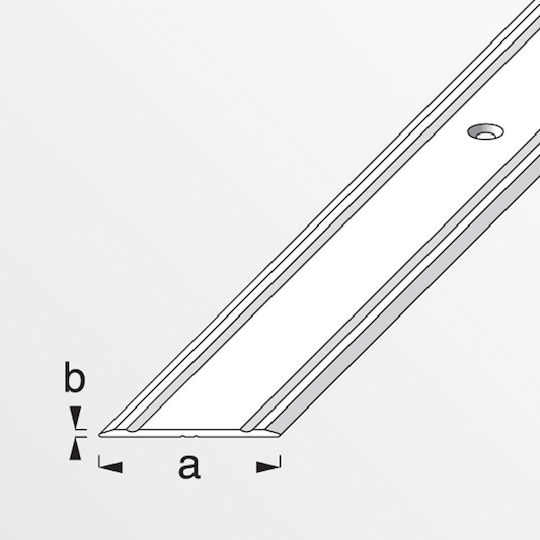 Alfer Aluminium Προφίλ Ενωτικό Αλουμινίου για Μοκέτες 100x3x0.2εκ.