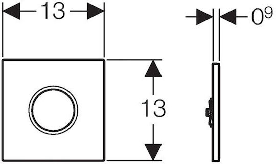 Geberit Flush Plate Dual Flush