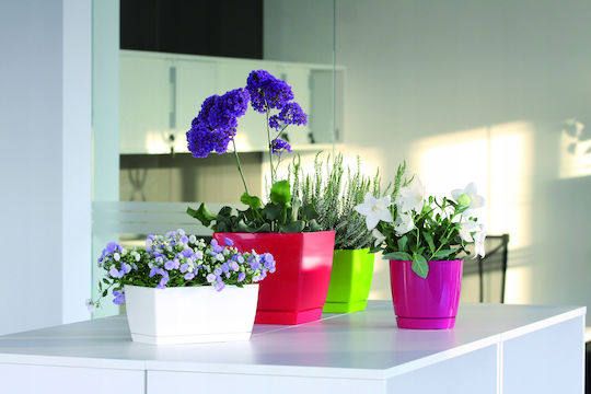 Marhome Coubi Case P Planter Box Plastic White 24x12x11cm.