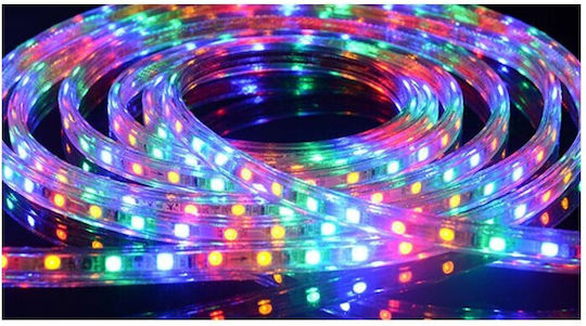 Φωτοσωλήναс 220V RGB с Програми 10м