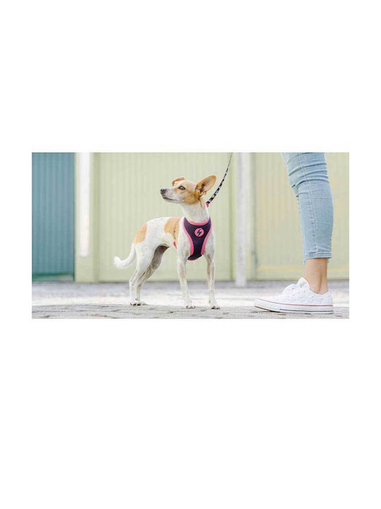Dashi Dog Harness Vest Unicorn X-Small 2.4mm x 30-36cm DNM00026