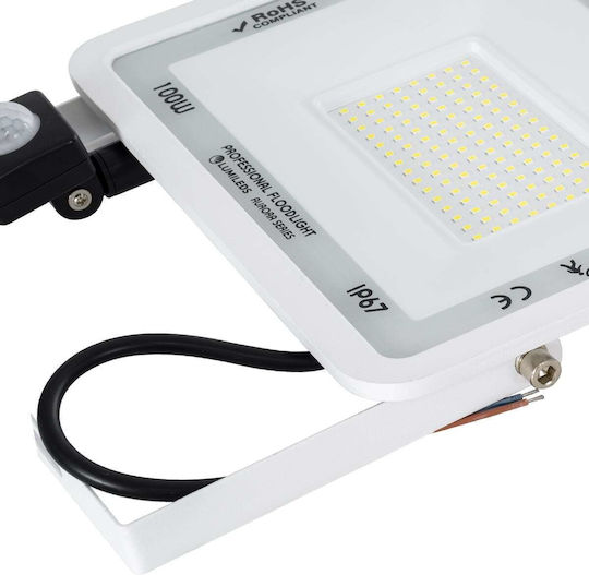 GloboStar Atlas Waterproof LED Floodlight 100W Cold White 6000K with Motion Sensor IP67