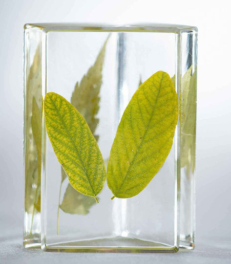 Pebeo Vopsea pentru Craft Transparentă 300ml