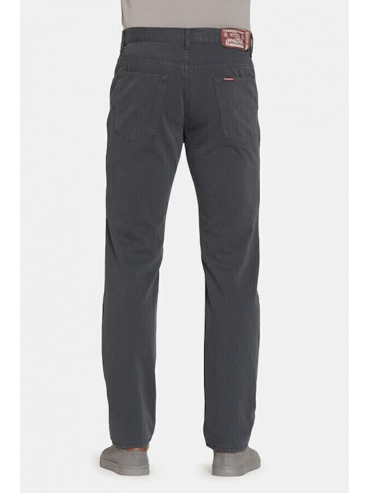 Trousers in Regular Fit Gray