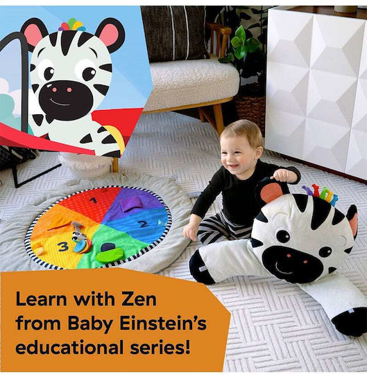 Baby Einstein Γυμναστήριο Δραστηριοτήτων για Νεογέννητα