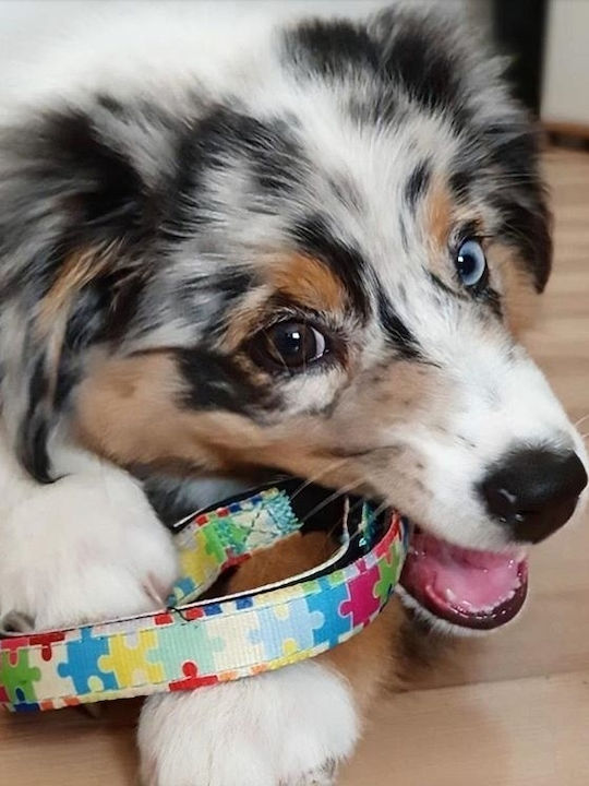 Max & Molly Μπρελόκ Υφασμάτινο