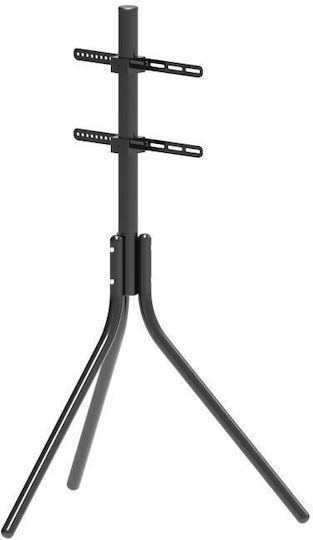 Focus Mount Tt144 Βάση Τηλεόρασης Δαπέδου