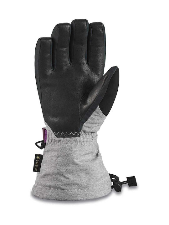 Ski/snowboard gloves SEQUOIA GORE-TEX Dakine Grey