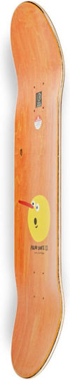 Polar 8.25" Σανίδα Shortboard Πολύχρωμη
