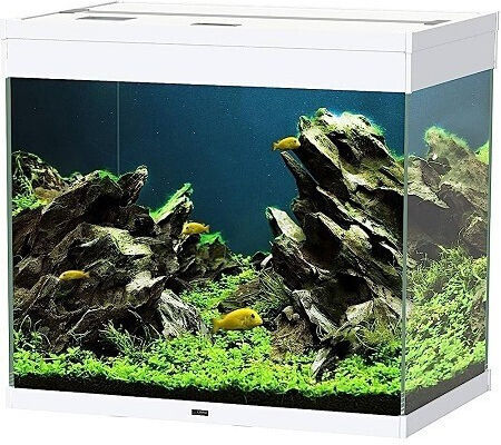 Ciano Emotions Pro 60 Fish Aquarium Capacity 108lt with Lighting, Filter and 61.2x40.2x56cm White
