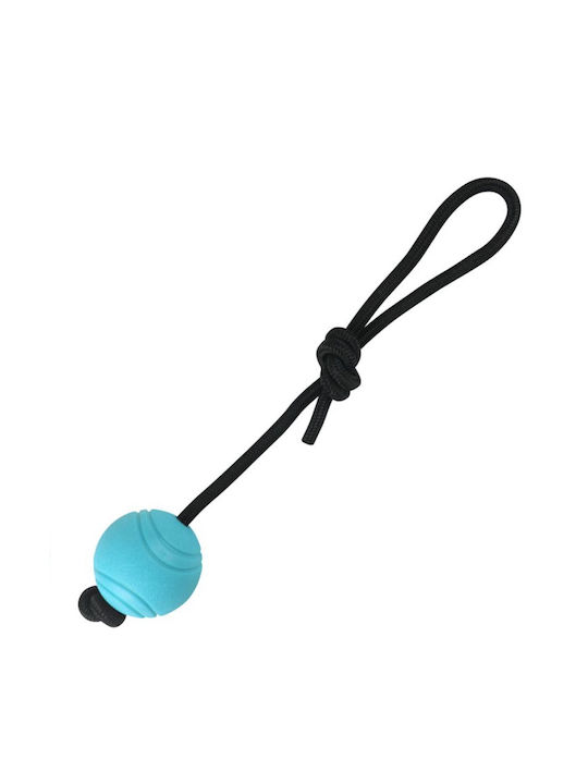 Nunbell Pet Dog Toy Ball Blue TPS-