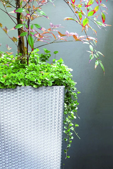 Marhome Rato Square Planter Plastic White 22.5x42.1x42.1cm.