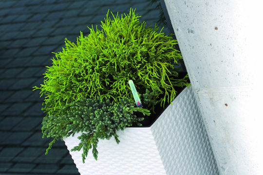 Marhome Rato Square Planter Plastic White 22.5x42.1x42.1cm.