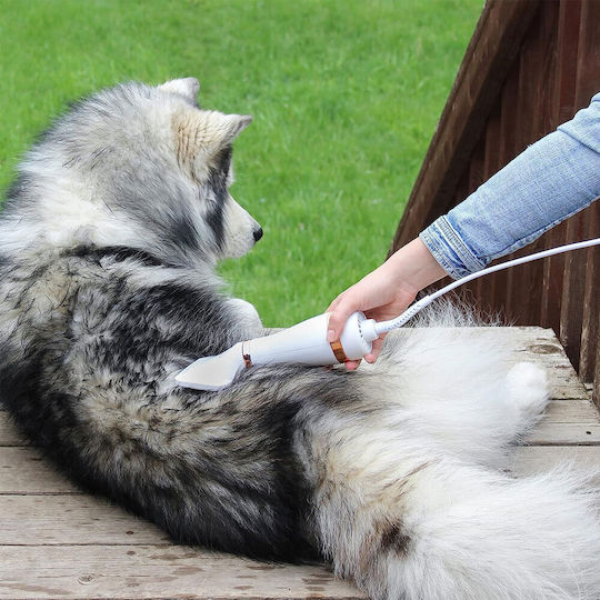 Electric Brush Small / Medium Dogs for Coat Cleaning Gold 2 1