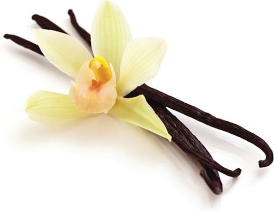 Βανιλια Fructus Μαδαγασκαρης Stick