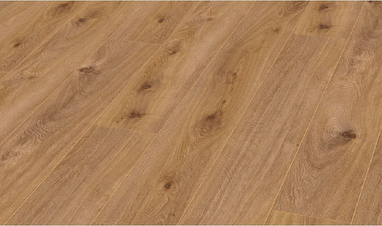 Kronotex Amazone Pardoseală laminată 10mm 6012