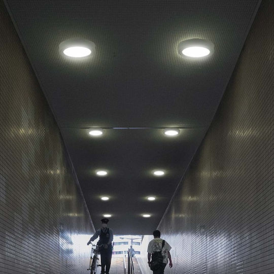 V-TAC Στρογγυλό Εξωτερικό LED Panel 6W με Ψυχρό Λευκό Φως 6500K 120εκ.