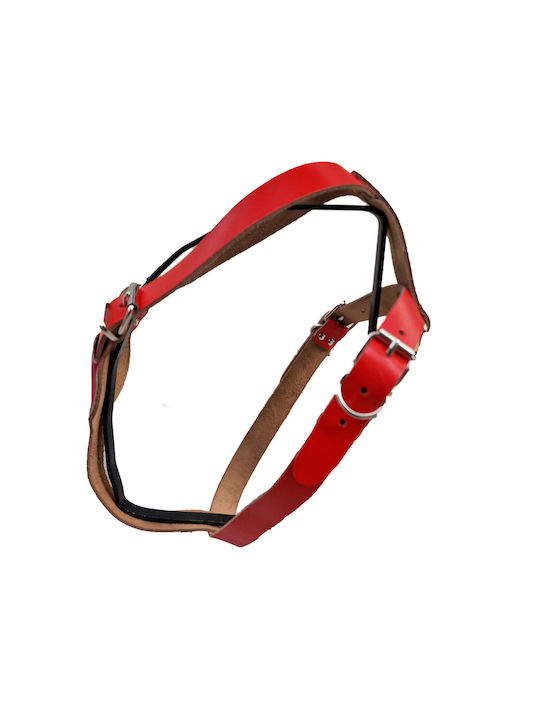 ByLeather Leder Rote Kleine / Große