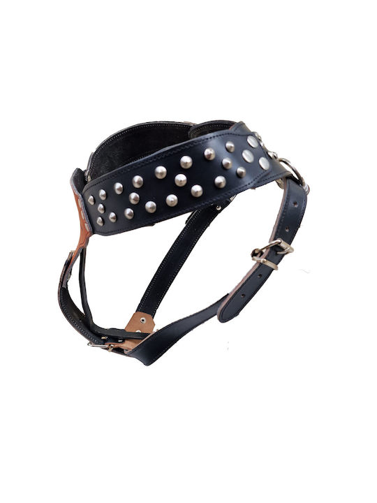 ByLeather Hundegeschirr Leder Schwarz Mittel / Klein 7026-7037