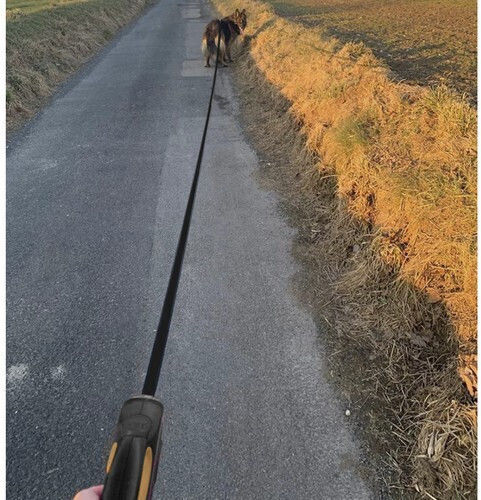 Purlov Klappbar Hundeleine/Führleine Riemen