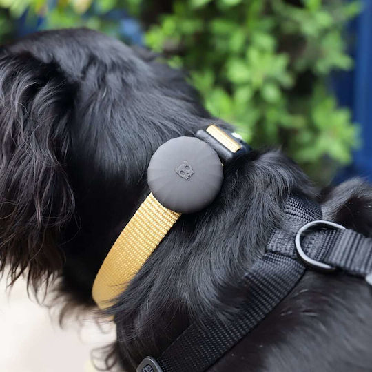 Zee-Dog Haustierhalsband-Etui Silikon für AirTag Lime