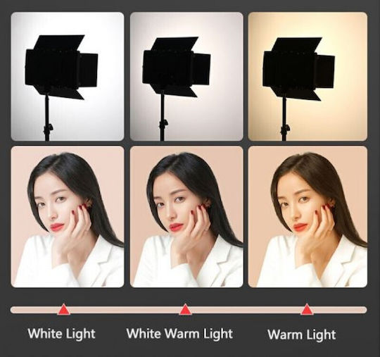 RL 900 LED Light 80W