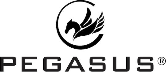 Pegasus S12 V3 Ποδήλατο Spinning Μαγνητικό