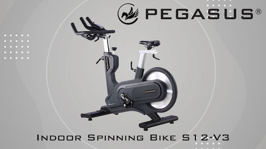 Pegasus S12 V3 Ποδήλατο Spinning Μαγνητικό