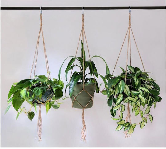 Arti Casa Desktop Decoration Garden Metal AT00023571