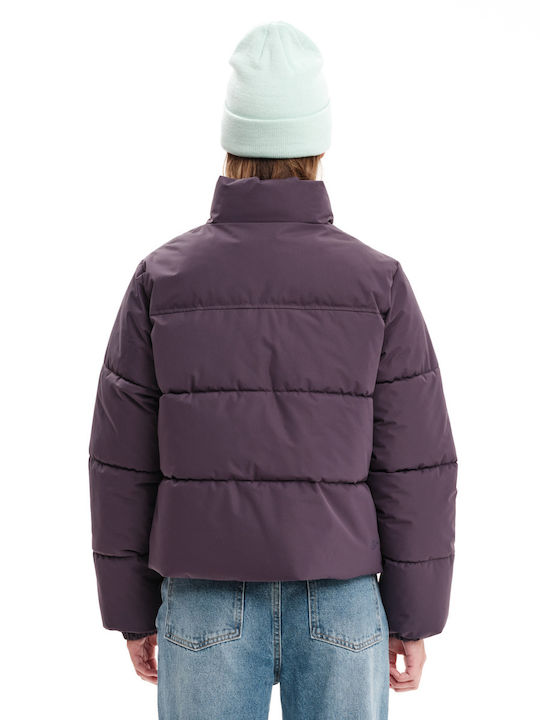232.EW10.74-PURPLE