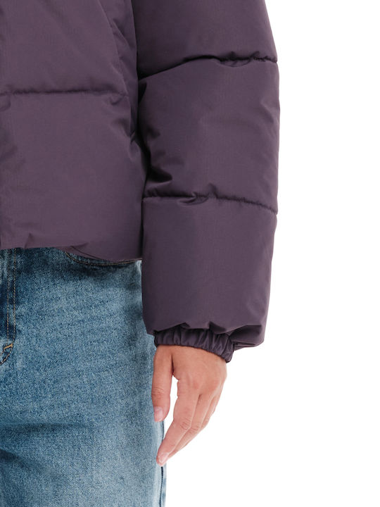 232.EW10.74-PURPLE
