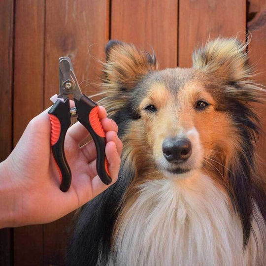 Akinu Nagelknipser Hund / Katze