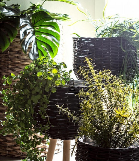 Bizzotto Blumentopfständer Schwarz