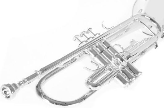 Roy Benson TR-202 Bb Τρομπέτα Silver