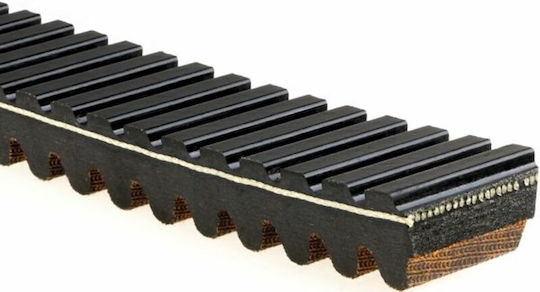 Gates Motorradgetriebe Riemen 19G3218
