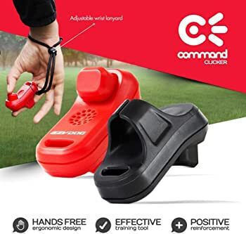 Ezydog Clicker Ausbildung / Abstoßend Hund in Schwarz Farbe