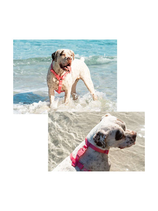 Zee-Dog Tidal Πράσινο Small