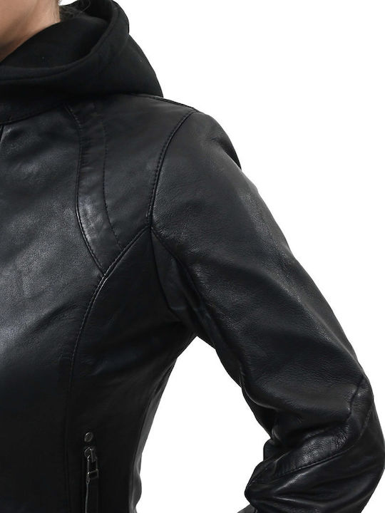 Leatherland