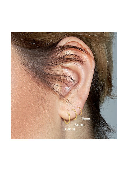 Bode Earrings Hoops made of Silver Gold Plated